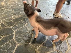 -Zoolung Zoolung动物主题公园(海信广场店)