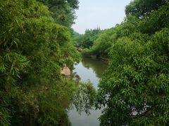 -上海滨江森林公园
