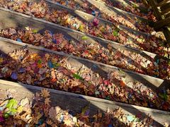 -丹东天桥沟景区