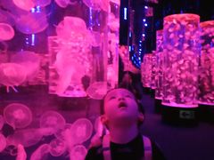 -成都浩海立方海洋公园