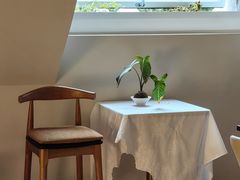 -花神·轻食简餐·咖啡馆·花卉绿植(荷兰花卉小镇店)