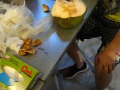 -都念榴莲·城市榴莲