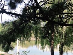 -山东大学(威海校区)