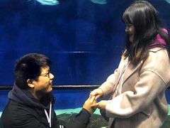 -梅园婚恋·婚姻介绍