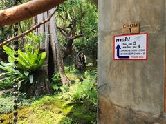 -Chom Cafe and Restaurant