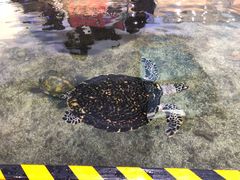 -鸿通城购物中心