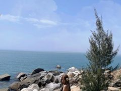 -广东惠东海龟国家级自然保护区