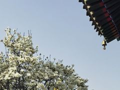-西安市广仁寺