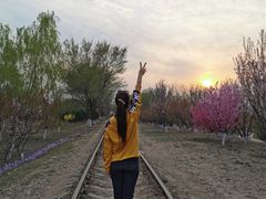 -永定河休闲森林公园