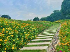 -孔雀湖生态旅游区