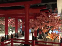 -蓝鲸湾汤泉(包河店)