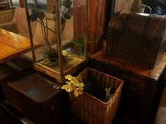 -日出青木·杭帮菜名店