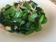家烧奶白菜-临江宴(陆家嘴店)