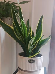 -香秀空间科技抗衰·美容中心