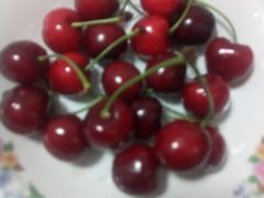 -柯剑飞超级水果批发中心(东港店)