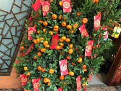 -马哥孛罗咖啡厅·Cafe Marco (厦门马哥孛罗东方大酒店)