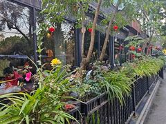 -乌托邦咖啡(武侯祠店)