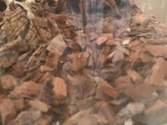 -Rabbit Cafe私房西餐甜点咖啡(栖霞路店)