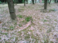 -苏州河梦清园环保主题公园