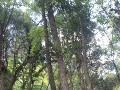 -富春桃源风景区