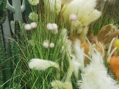 -百荣世贸商城