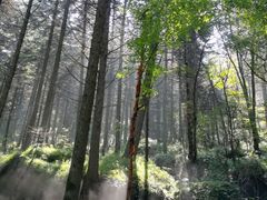 -芦芽山旅游度假区