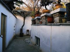 -西苑公园