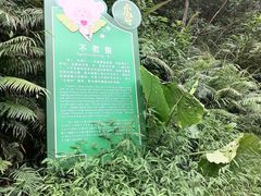 -南海湾森林生态园
