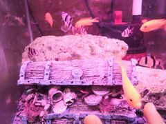 -鸿通城购物中心