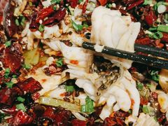 黑鱼花-三猫黑鱼花(南大店)