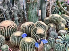 -国家植物园南园