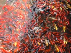 -泰安地下龙宫景区