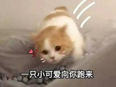 -胖哥俩肉蟹煲(万国店)