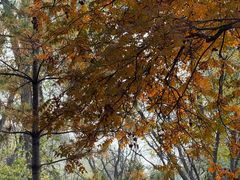 -森林公园(尖草坪区)