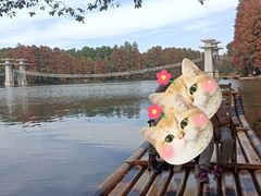 -东湖落雁景区