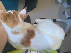-平行世界·猫咖(首经贸店)