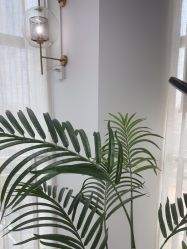 -AM半永久纹眉