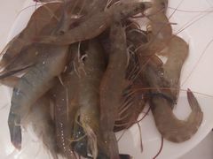 -诱货海鲜自助火锅(爱琴海购物公园东百店)