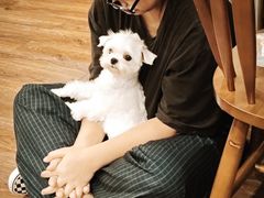 -echoes coffee回响咖啡(888街店)