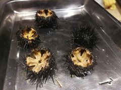 北海道海胆-雍和会海鲜姿造自助(湖东路店)
