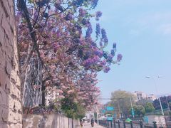 -襄阳城墙