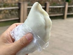-鸣鹤古镇