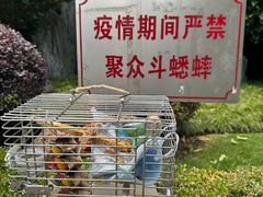 -爱侣宠医·鹦鹉专科·小型哺乳类·异宠专科(灵石路店)