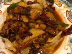 -巴依老爷新疆美食(常营店)