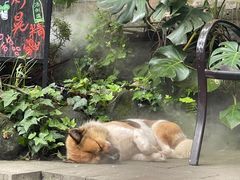 -磁器口古镇