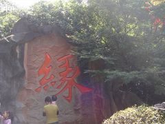 -杭州黄龙洞