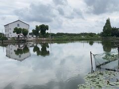 -水岸居湖景农家乐·阳澄湖大闸蟹