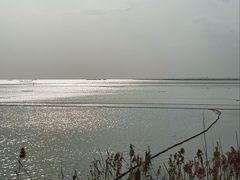-滆湖低碳生态公园