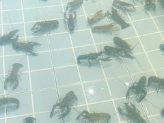 -虾胡闹龙虾馆(湄南河店)