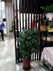 -MOVAN  HAIR莫凡匠人发型屋